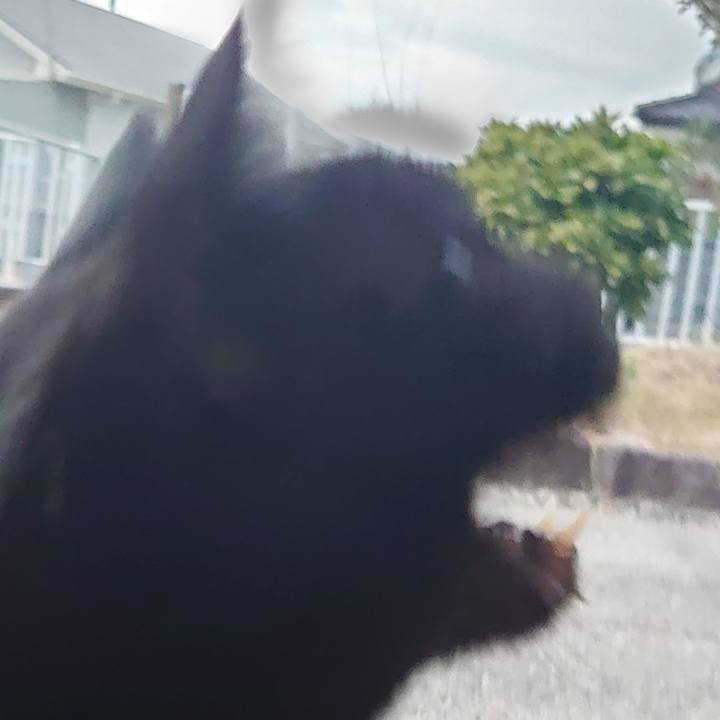 420960bc b232 46d7 8029 7e7101b64358 1634119964496