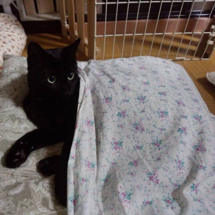 4209638d 17e6 47a6 91d9 34d3bbdce00a 1636550024462