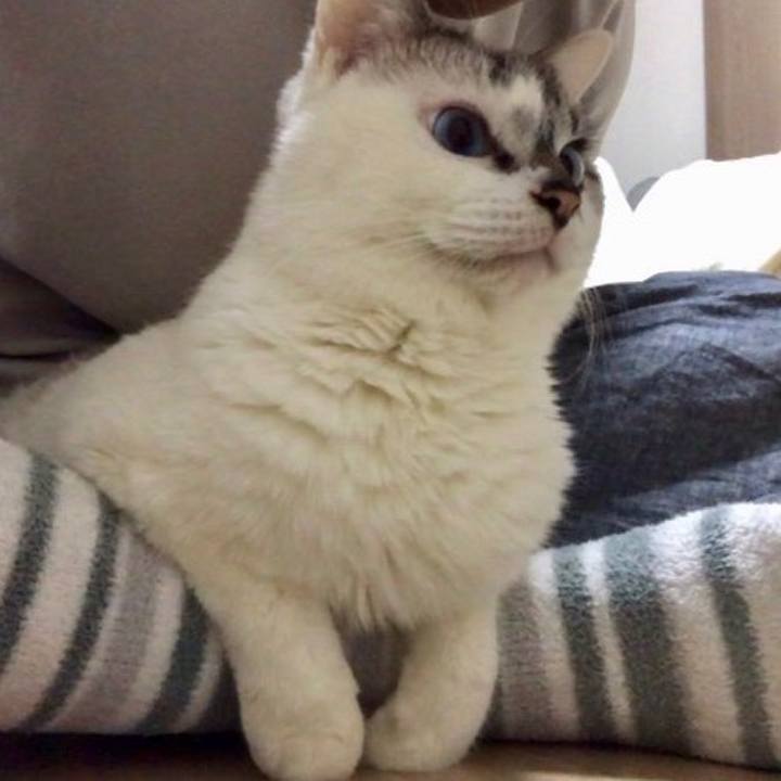 4209735a c7d4 4c36 908a c48180763733 1547547502414