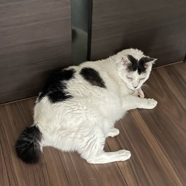 42098b74 1f53 405b ac30 47ee071ac775 1749598454423