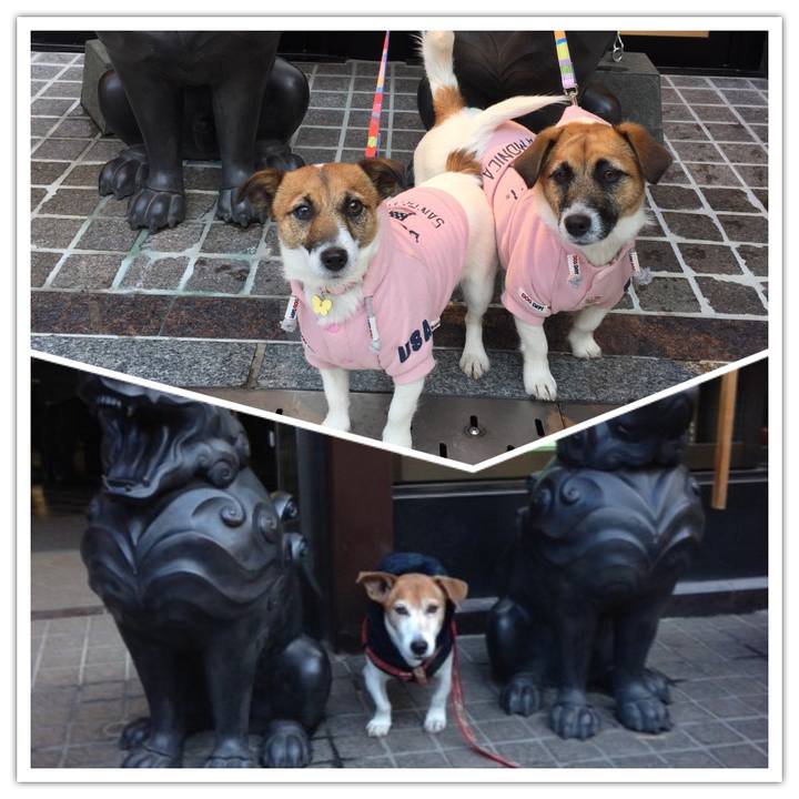 4209a2eb 2fbd 4879 ac06 08cd468ec75b 1516532912318