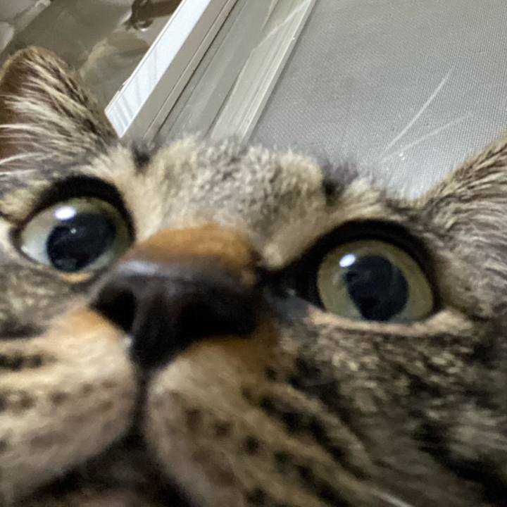 4209c0bf de80 47c0 bfb2 6fafeda0b63e 1682941973255