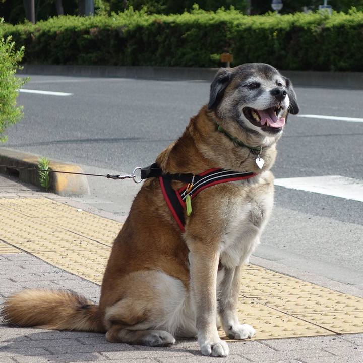 4209e0e7 b210 4831 854d 81d8bc40c02d 1525049815316