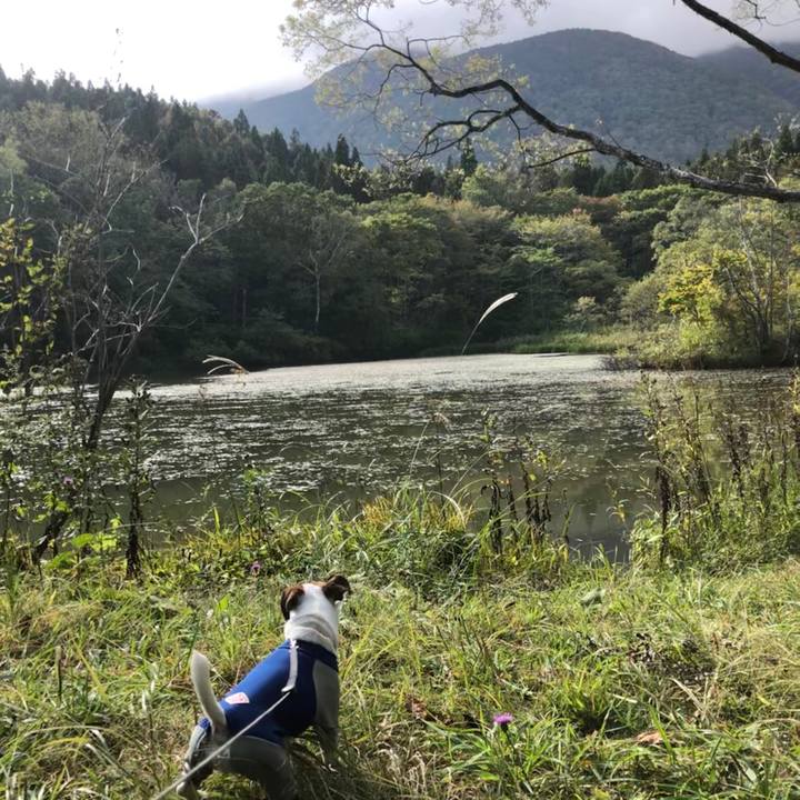 4209eb06 d60a 4c69 a0f4 751fbd834838 1571226099753