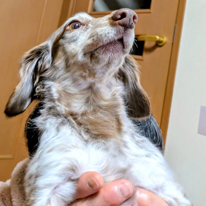 4209f9b8 d0ee 4145 aec3 18f7d9c9ad8a 1767091332769