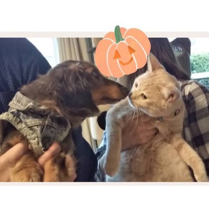 420a02b1 e7ab 4cd0 bc39 d79a5bf96c35 1569214535723