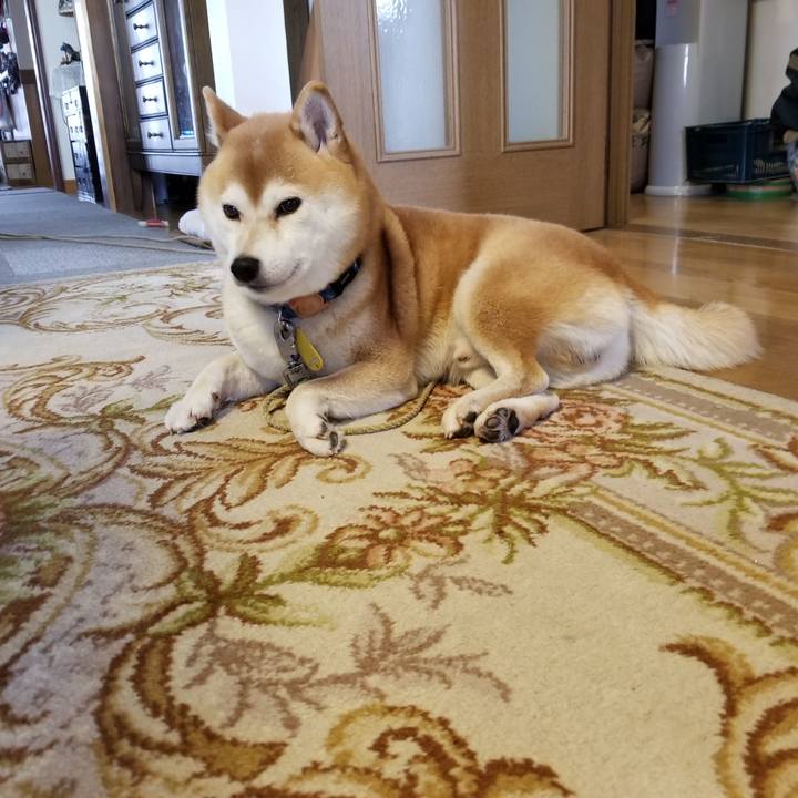 420a08fc de61 4e86 9e25 a7648ff689d2 1572045752081