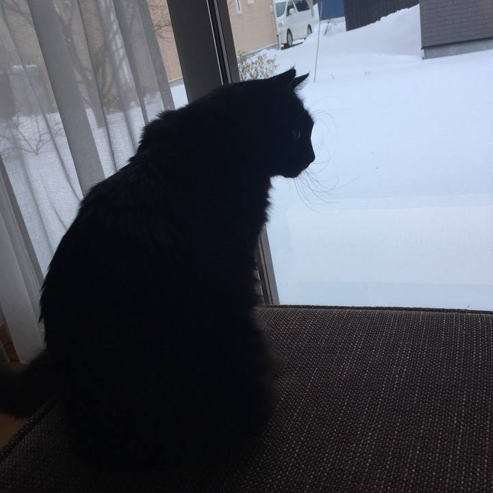 420a7b43 ba47 496e 9a3a dcb5a1659221 1518677955088