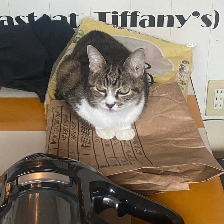 420aba53 6a11 4a50 a684 6d014de0619f 1729903176403