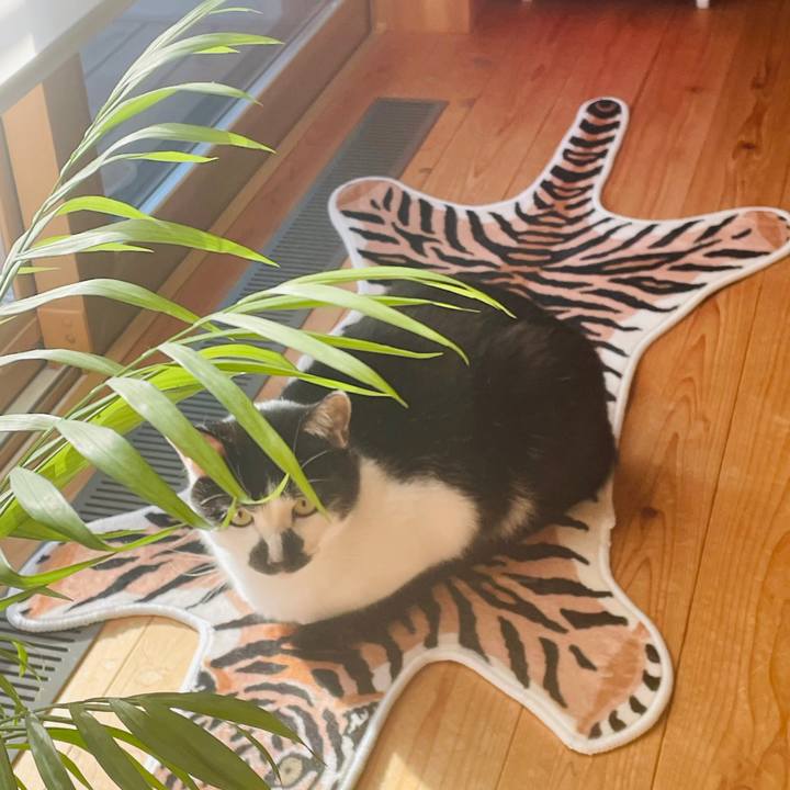 420ac858 2023 4d89 b426 8185b22d8ab3 1763278355573