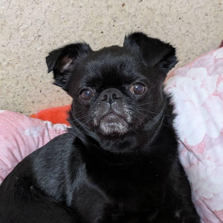 420ace69 5c5f 4982 8146 7b10035d8d33 1774441626234