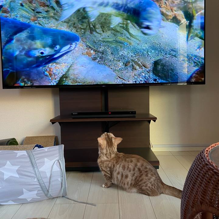 420b4ef3 c70f 4f5e 8ea5 2a553b13d703 1645915613301