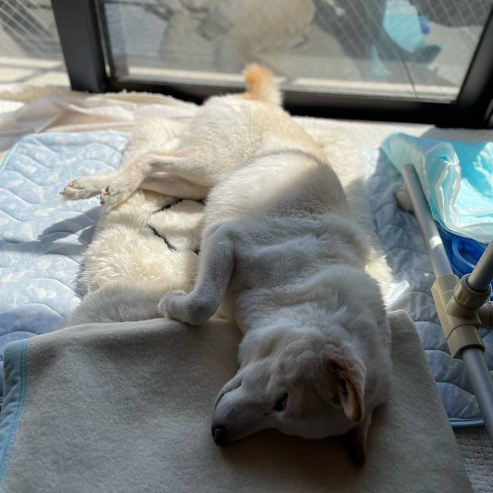 420b7b01 8c5a 4cc0 bbc4 8ee4216d9955 1646550029466