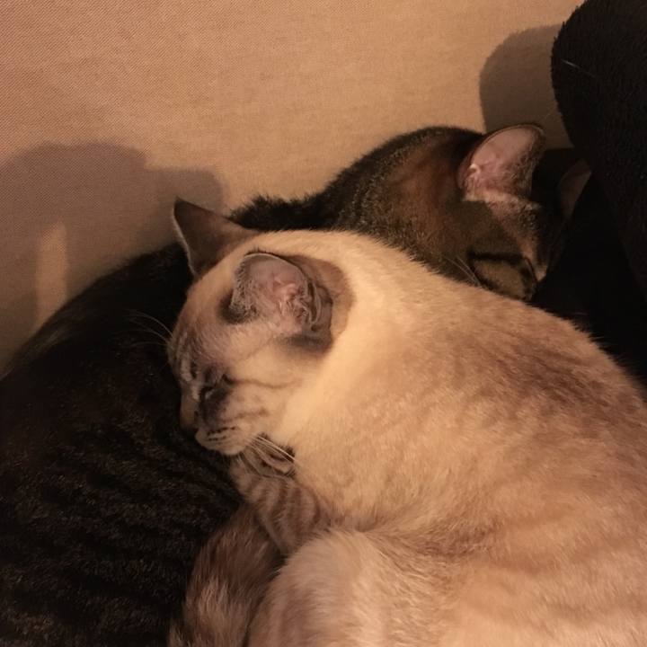 420b92b8 f791 489c 89bb a4f075a03299 1548244476862