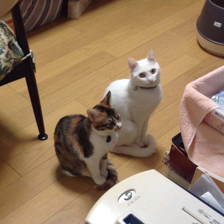 420bae3c 283b 4a7b b9a5 304d9f09b39e 1640384689881