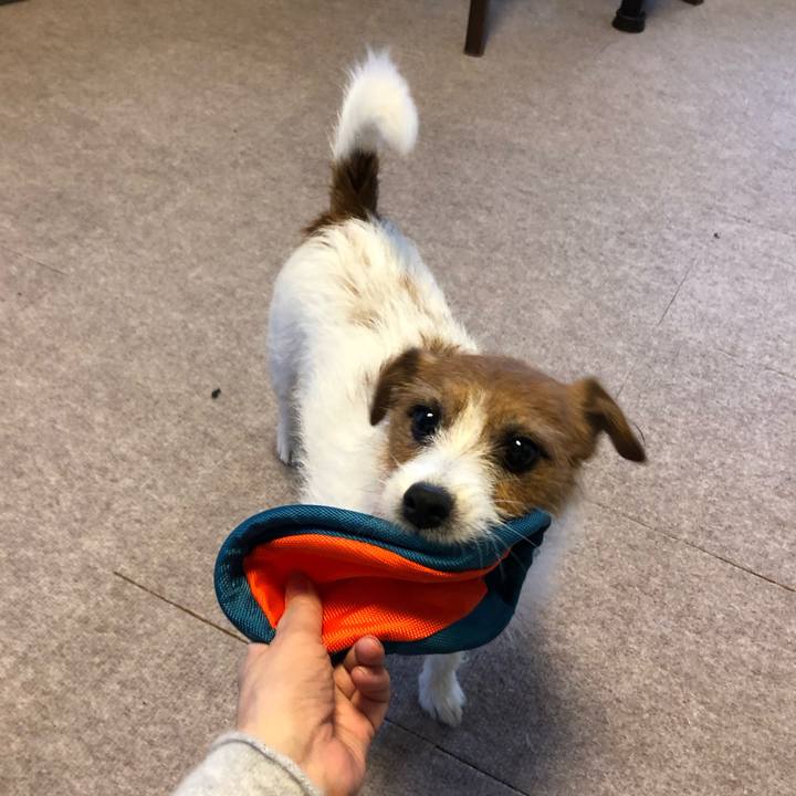 420bbf0b b48e 4e8b bf72 ce7616b6a3a6 1543730306398