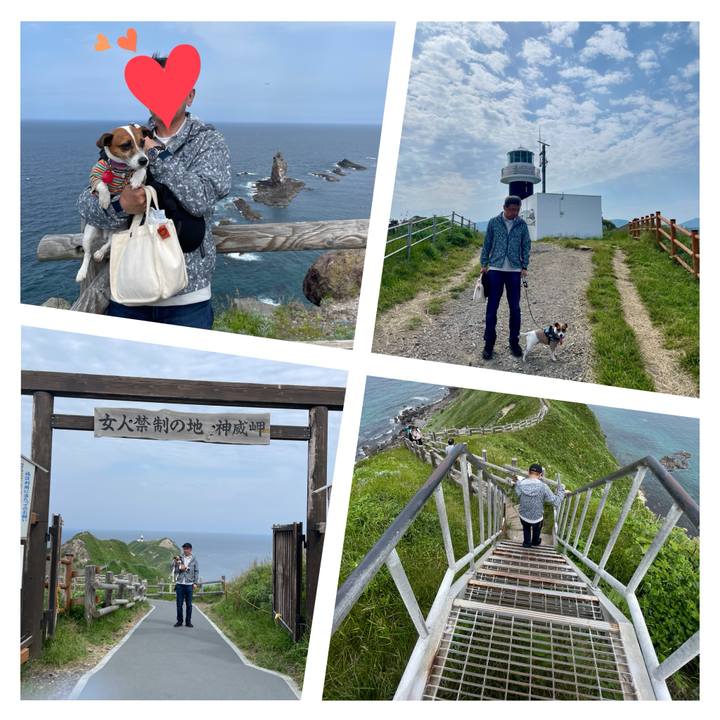 420bd8b9 de6a 46d2 accc 8f0c34901c2c 1718920963135