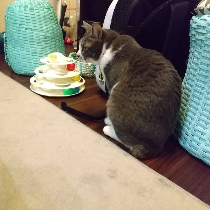 420bf609 d05f 4cc0 8c27 55fd9a764263 1638740805143