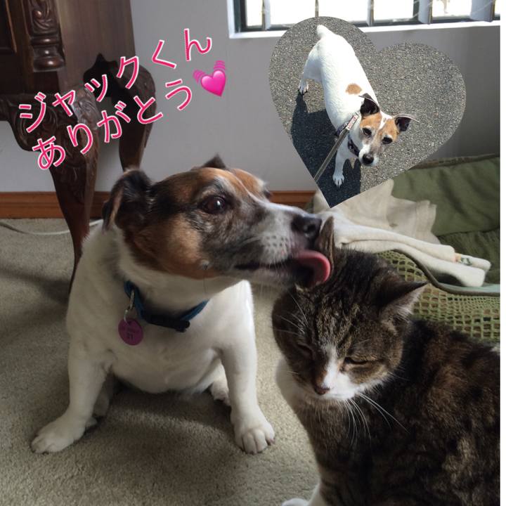 420c2f89 6c5b 47a5 8840 55134447d7b5 1580445615446