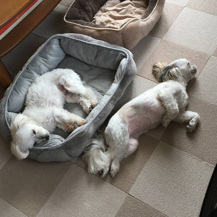 420c4e4d 51ef 48e3 be07 f76583441485 1580015544639