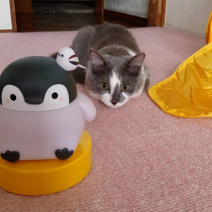 420c6e05 6e85 4fb7 9cc1 d872d755055e 1570339469784