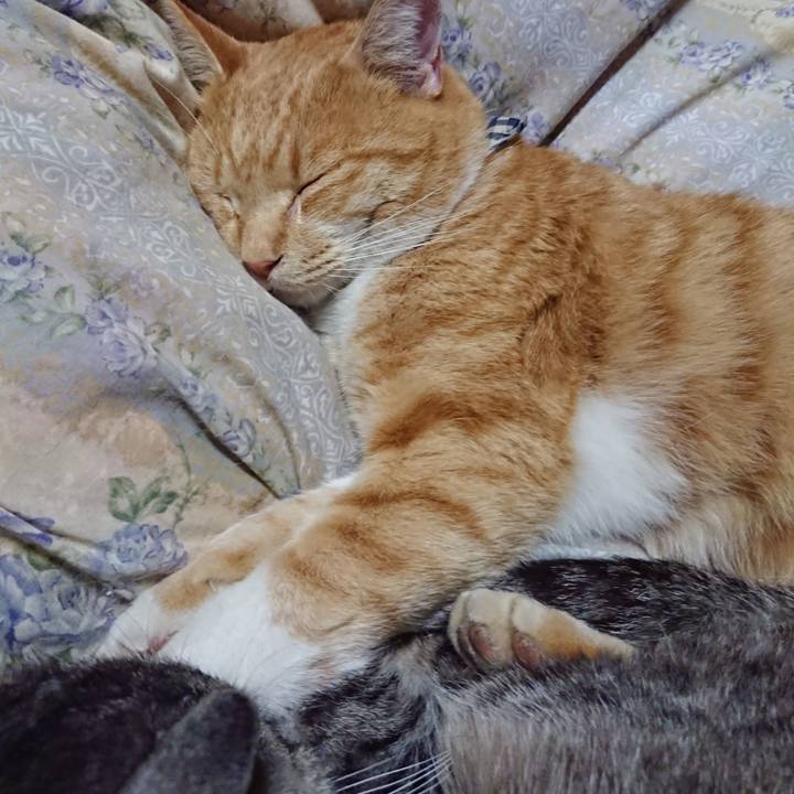 420c7118 5d3e 4512 9245 58bb839c3ba1 1573304537454