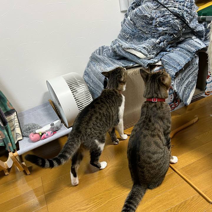 420c83a9 4748 4aa0 ab96 260bad0cec52 1757652447720