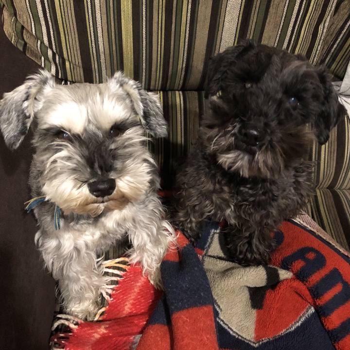 420c8dd6 40a2 40b7 bb50 4cd18ae2d405 1584046671120