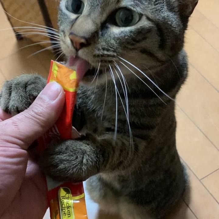 420ca9a3 cb2b 4532 94d0 0d1ebcd22f9e 1643733211024