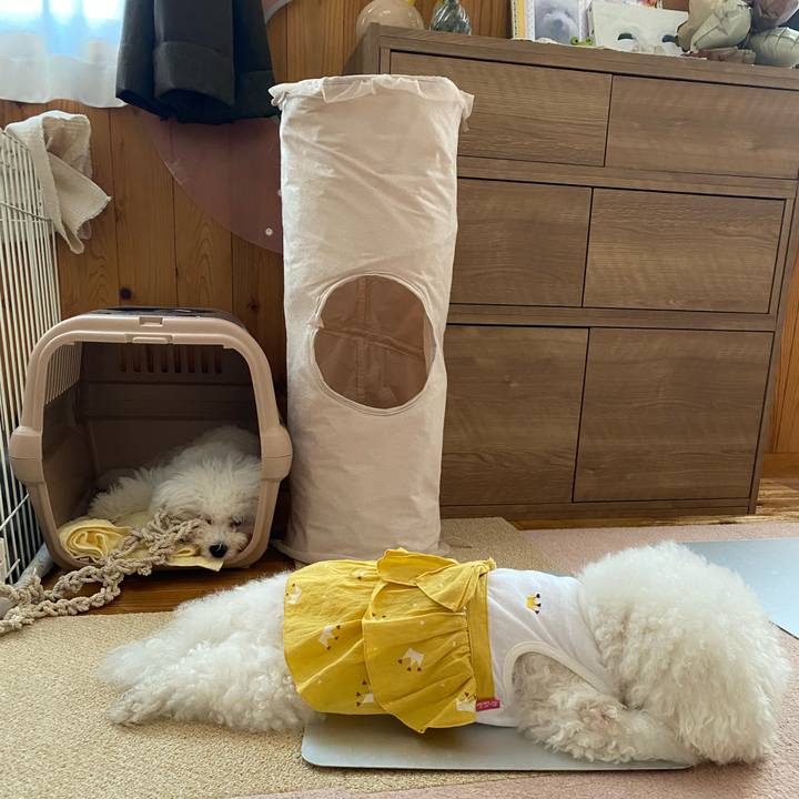 420cadaa 9a9a 439d 8acc 1259c2834cd8 1752448697731