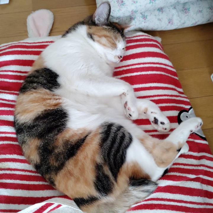 420cbaf3 6f7f 4475 828e ca6380138d54 1647668216305