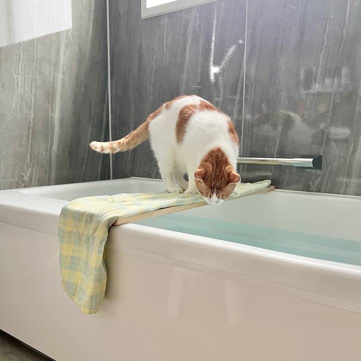 420cfe72 98a7 44c3 bc5d c11fc76a0906 1760402819579