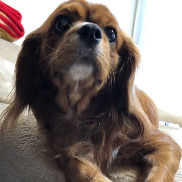 420d3f4e e234 4cc6 9e5b 3e4c3d80c0c2 1578788350374