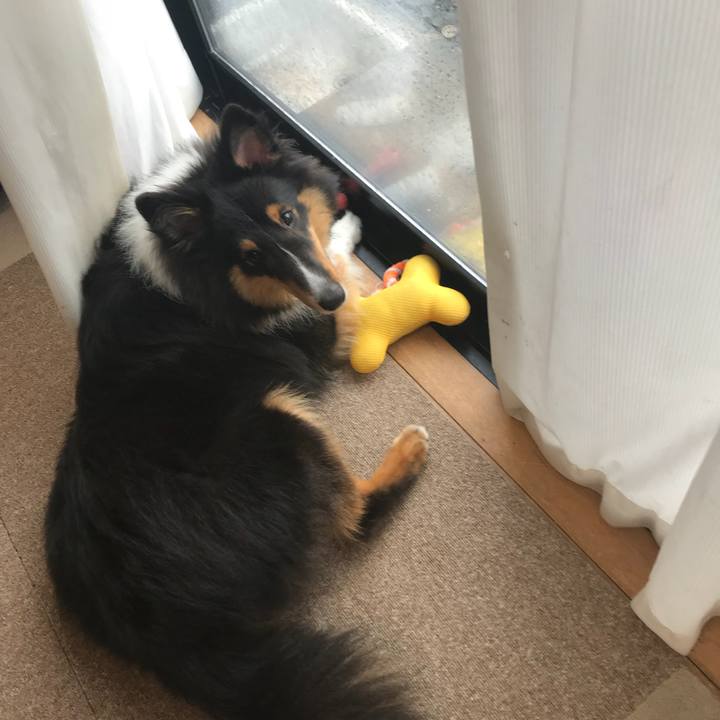 420d47dc 4237 475a 891e 65f581543fd3 1534378120102