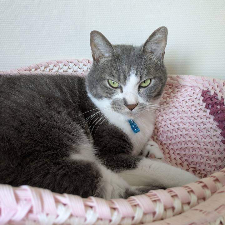 420d7162 bc20 4fd7 a048 47cc7e5e57f6 1754883862443