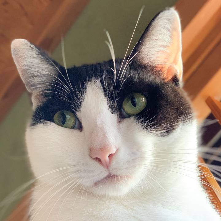 420d916a e99d 4f8d b5a0 6d49943470d1 1573522899585