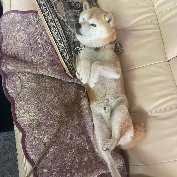 420db353 28ae 415e a94c 3e301be19542 1685318386049