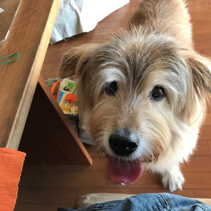 420dbd00 9b8c 4fbb 8347 9fb1244b9299 1671771142329