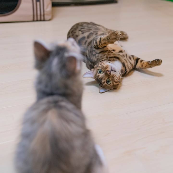 420de142 ea47 4e66 b6ef 33d87d14eb91 1537442066985