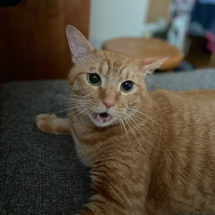 420df53d f80c 47f8 ad81 ba5fdeb3883d 1693012501902