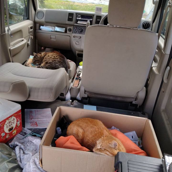 420df793 caae 4a0c aca3 20bf36add8fa 1716192994840