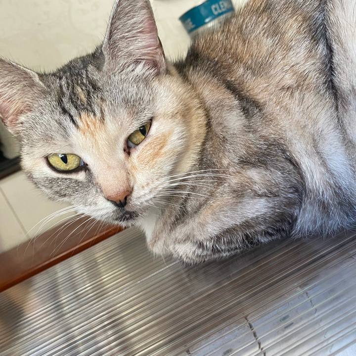 420e3995 516a 4bd0 8316 d03211931512 1635400992317