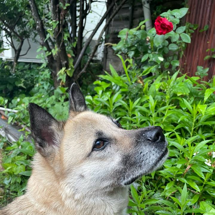 420e572d bf8b 4706 ba9a d3f633e5fed6 1655212624888