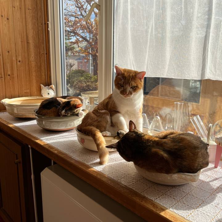 420e731f 89d3 46aa 975d 8653f9362012 1700267529749