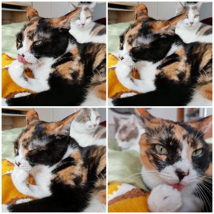 420ea72c 7b7e 4af9 848d a0f2b7de3a02 1668743379871