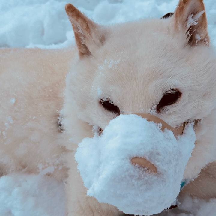 420edfae 2707 428e 96f1 e58b2704c34c 1739400152645