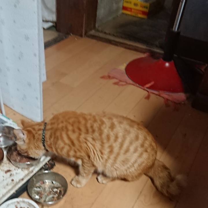 420eeb6c bd2d 4160 9558 a0d8fecead69 1649802455184