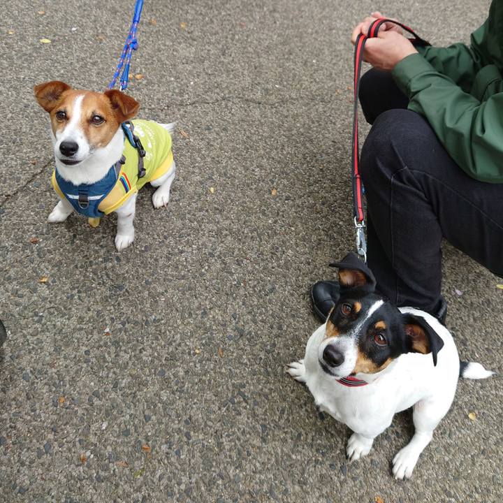 420efdde 2f43 4a1b b486 c6ddd77281ef 1680957023547