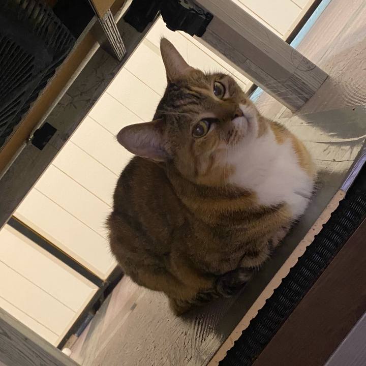 420f1b26 b39c 44f4 b8e1 702896624e72 1653403408672