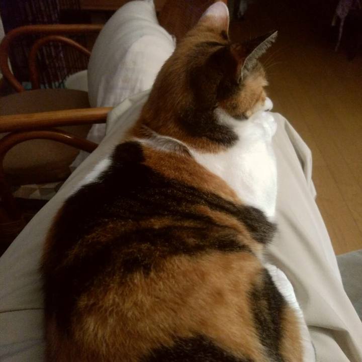 420f4396 f808 4ccc 9b7f 0fec845e2fdd 1625916967219